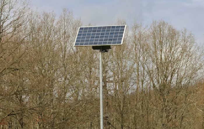 Article Image for Citizen Science and Environmental Monitoring