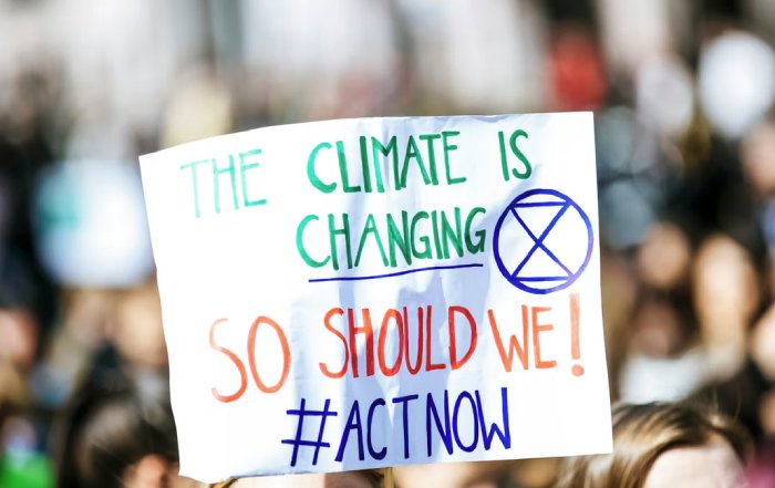 Article Image for Climate Action Ideas That Make a Real Difference