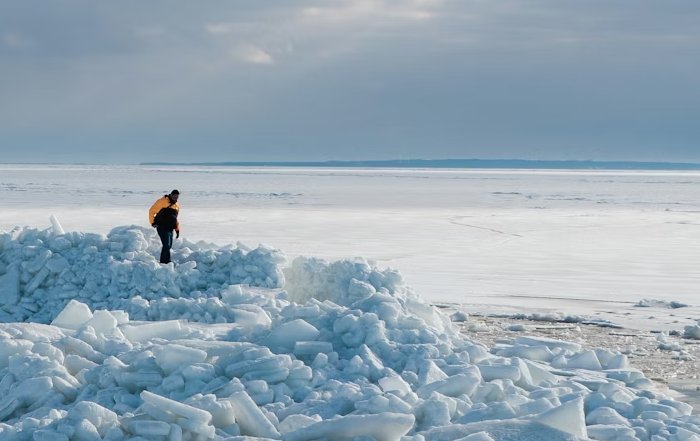 Article Image for Climate Anxiety and Finding Your Agency