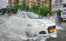 Article Image for Climate Change Adaptation Strategies for Cities