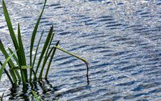 Article Image for Climate Change and Water Resource Management