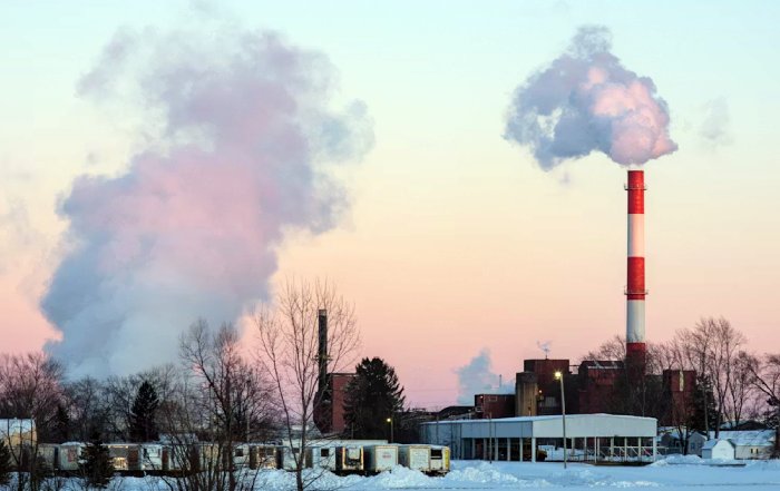 Article Image for Demystifying Carbon Offsets and Credits