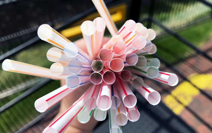 Enduring Challenge of Single-Use Plastics: Pursuing a Sustainable Path