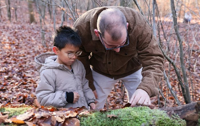 Article Image for Environmental Education for the Next Generation