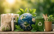 Article Image for Everyday Environmental Awareness for Better Choices