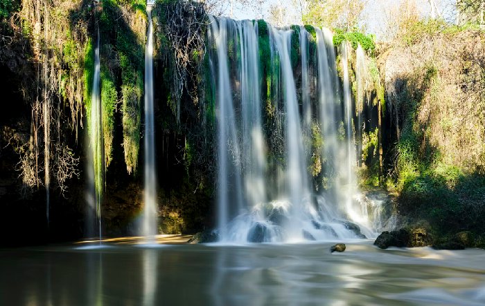 Article Image for Forest Bathing and Ecological Mindfulness