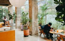 Article Image for Fostering an Eco-Conscious Workplace Culture