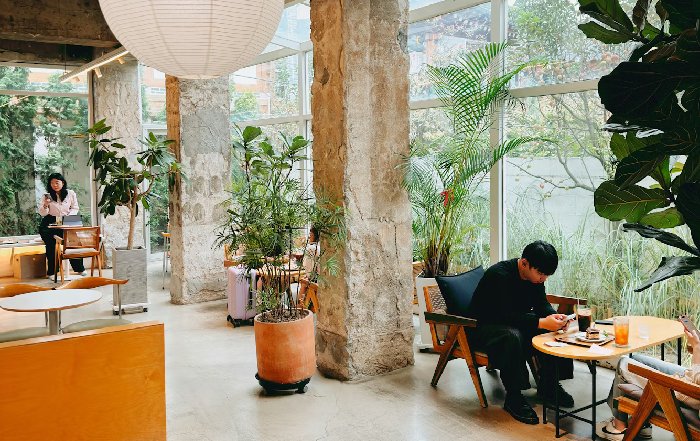 Article Image for Fostering an Eco-Conscious Workplace Culture