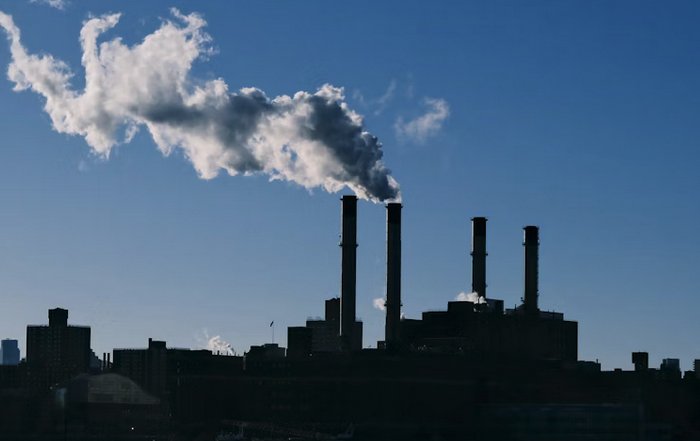 Article Image for How Businesses Can Reduce Environmental Impact