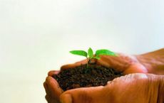 Article Image for How Businesses Can Thrive Through Sustainable Practices