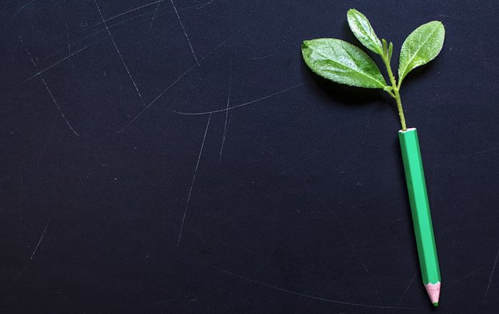 Article Image for How Businesses Measure Sustainability Success