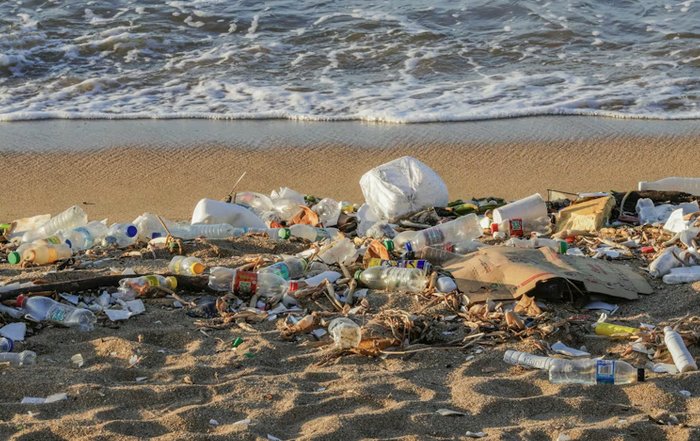 Article Image for How Plastic Waste Affects Marine Ecosystems