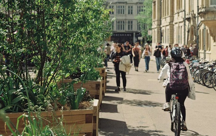 Article Image for How Sustainable Living Supports Healthier Cities