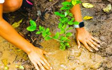 Article Image for How to Find Joy and Purpose in a Life of Environmental Stewardship