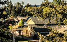 Article Image for How to Support Sustainable Livelihoods in Forest-Dependent Communities