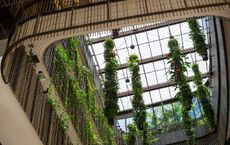 Article Image for Integrating Biophilic Design into Workspaces for Well-Being and Sustainability