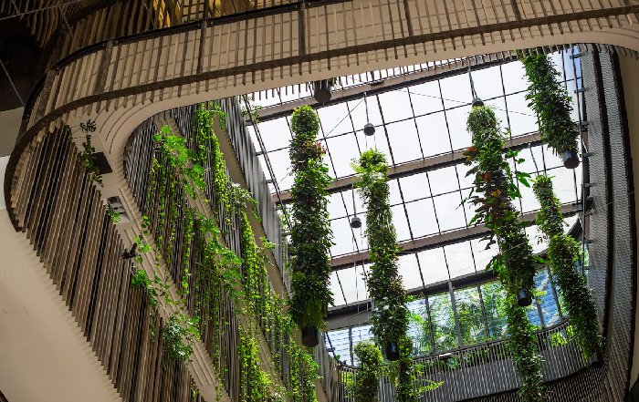 Article Image for Integrating Biophilic Design into Workspaces for Well-Being and Sustainability
