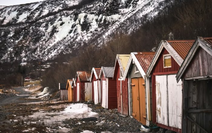 Article Image for Learning from Scandinavia's Sustainability Success