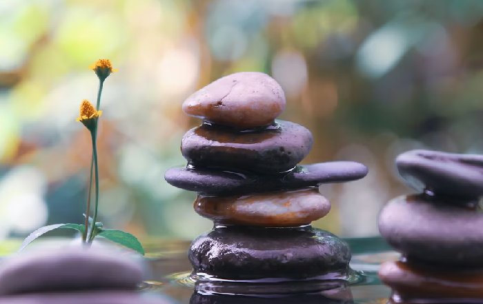 Article Image for Mindful Consumption in a World of Abundance