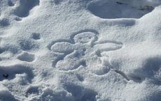 Article Image for Nature as a Source of Creativity and Innovation