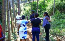 Article Image for Outdoor Education and Environmental Stewardship