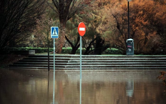 Article Image for Raising Environmental Awareness in Urban Communities