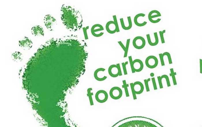 Reducing Carbon Footprints: Global Initiatives and Individual Actions