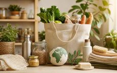 Article Image for Responsible Consumption Strategies for Conscious Households