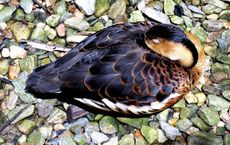 Soaring Global Temperatures - A Climate Wake-Up Call