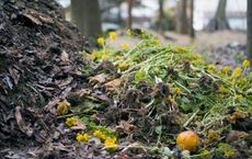 The Rise of Composting for Healthy Soil