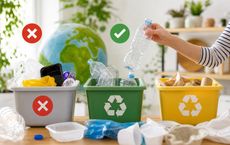 Article Image for Sorting Plastics at Home: Common Mistakes to Avoid