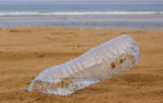 Article Image for Sustainable Alternatives to Single-Use Plastics