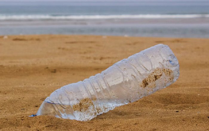 Article Image for Sustainable Alternatives to Single-Use Plastics