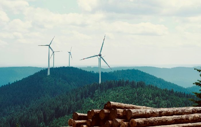 Article Image for Sustainable Investing Strategies for a Volatile Global Economy