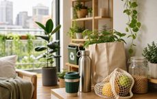Article Image for Sustainable Living Choices for Apartment Dwellers