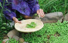 Article Image for Sustainable Living Lessons From Around the World