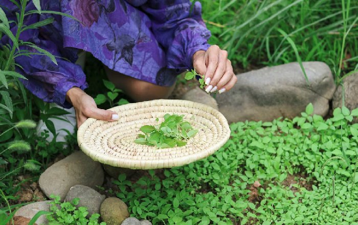 Article Image for Sustainable Living Lessons From Around the World