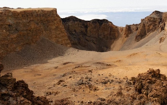 Article Image for Technology as a Tool for Planetary Health