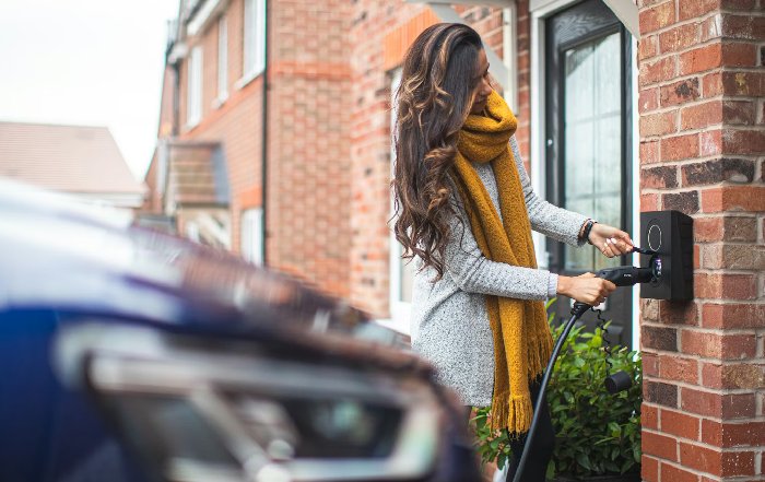 Article Image for The Connection Between Eco-Friendly Homes and Personal Health