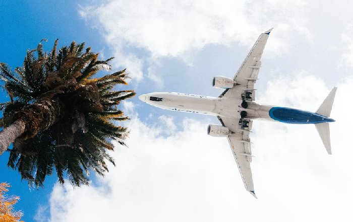 Article Image for The Future of Sustainable Aviation Fuels and Green Logistics