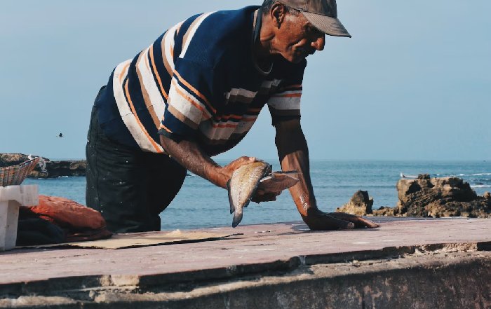 Article Image for The Future of Sustainable Fisheries and Ocean Conservation