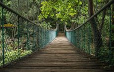 Article Image for The Green Economy and Your Career Path