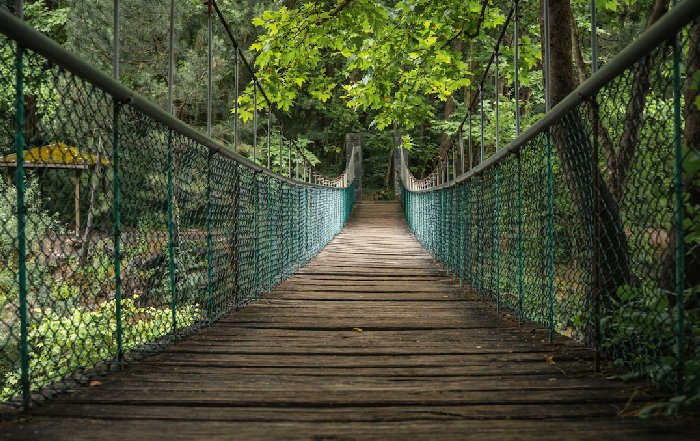 Article Image for The Green Economy and Your Career Path