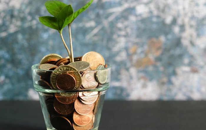 Article Image for The Importance of Financial Literacy in Supporting the Green Economy