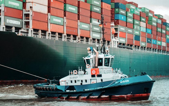 Article Image for The Importance of Plastic-Free Supply Chains