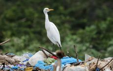 Article Image for The Link Between Plastic Waste and Climate Change