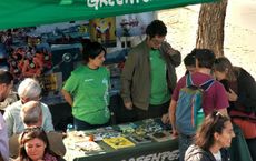 Article Image for The Psychology of Environmental Action