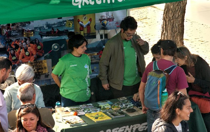 Article Image for The Psychology of Environmental Action