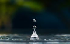 Article Image for The Ripple Effect of Individual Choices