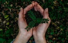 Article Image for The Role of Faith-Based Organizations in Environmental Stewardship